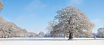 超级巨星展现统治力，领导球队夺冠
